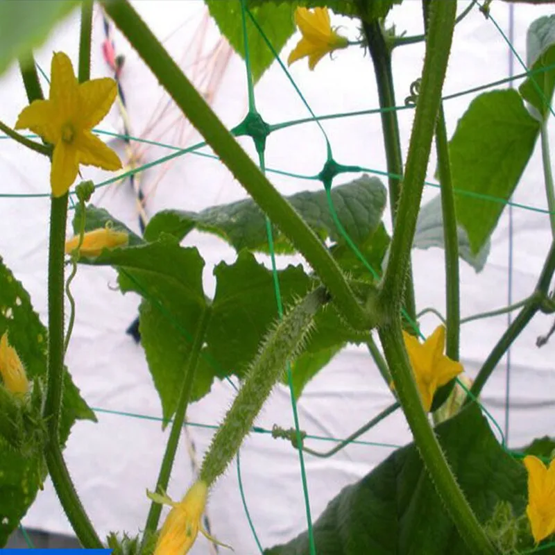 QQ图片20180531121243 - 副本