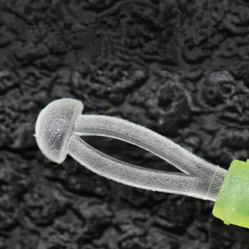 10726978426_1995778819