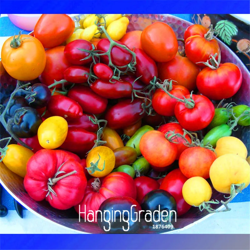 Купить Семена Помидор Гибриды