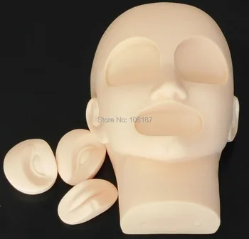 

Great Professional Design Permanent Tattoo Makeup Practice Skin Head Eyebrow Lip