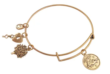 

5PCS Antiqued Gold Color Expandable Wire Bangle Zodiac Charm Bracelet