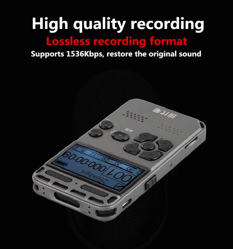 voice recorder professional