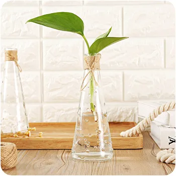 

Glass Flower Vase Terrarium Succulents Plant Gift Micro Landscape Cover and Filler Terrarium Home Decoration Vases