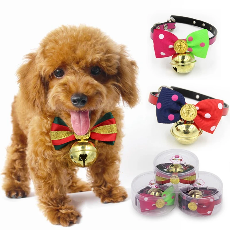 cute puppy supplies