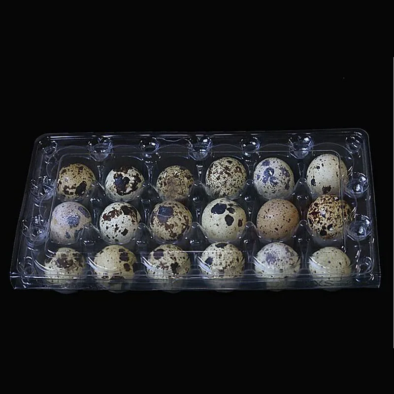 

1000pcs/lot 18 Holes 198*41*133cm Quail Eggs Container Plastic Clear Egg Packing Storage Boxes Wholesale Free Shipping ZA4003