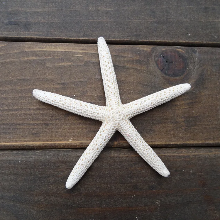 Горячая 1 шт 10-12 см белая натуральная пятиконечная Морская звезда Ремесло Украшение натуральная морская звезда DIY пляж домик Свадьба Морская звезда