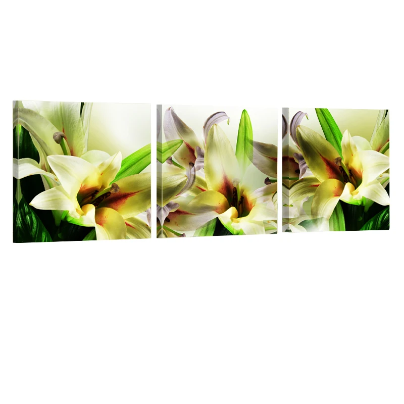 3 Panel Beautiful Lily Wall Art Picture Living Room Canvas Painting