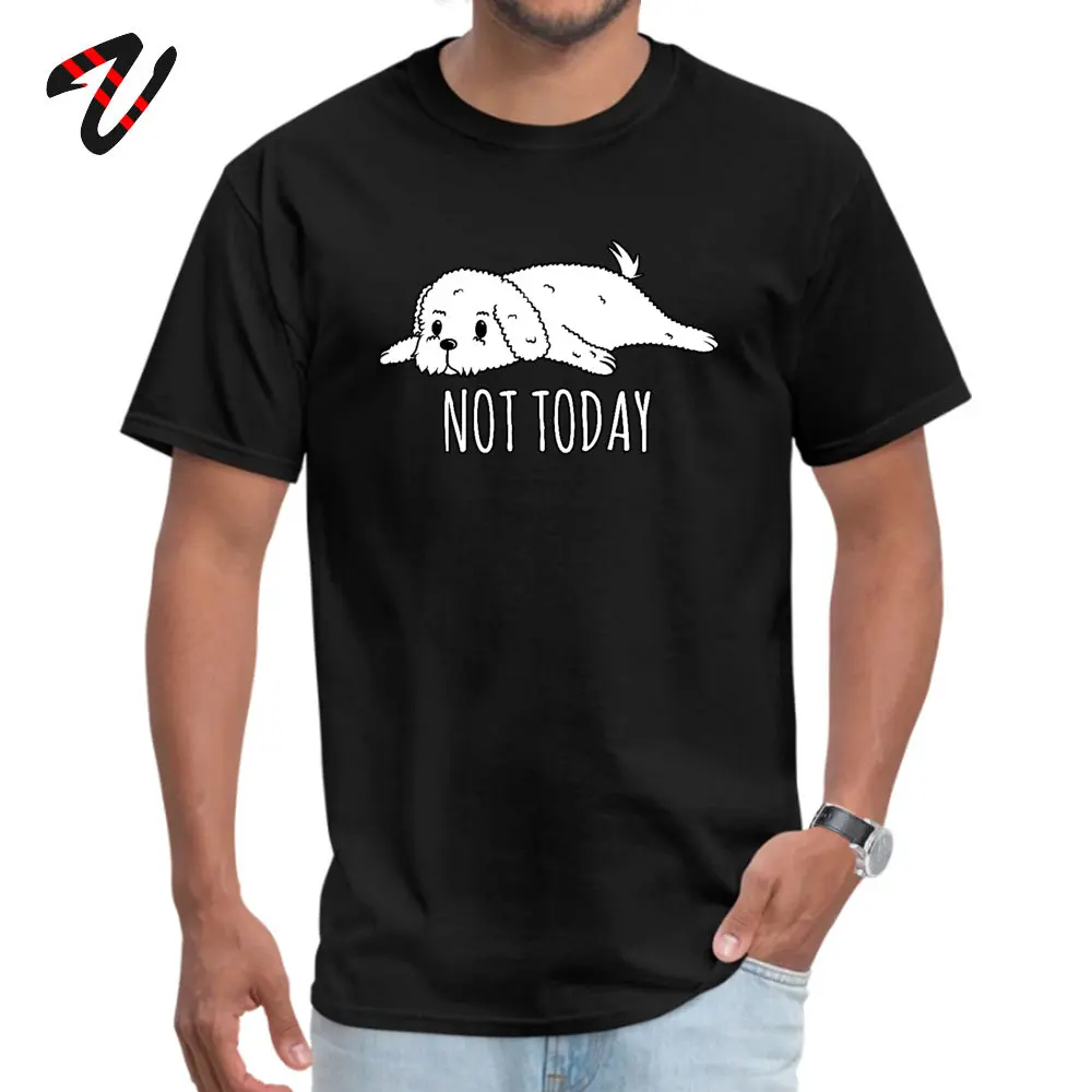 BichonFriseNotToday 100% Cotton Design _black Tops & Tees Faddish Short Sleeve Mens Tshirts Unique Summer Tee-Shirt Crew Neck Bichon-Frise-Not-Today190620 black