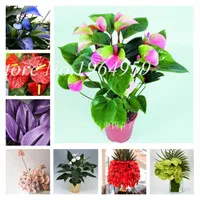 QQ20181210160620