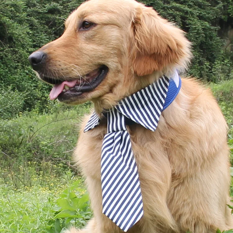 Аляска аксессуары для домашних животных, собак галстуком-бабочкой большой полосатый галстук-бабочка аксессуаров для домашних любимцев 5 шт - Цвет: Синий