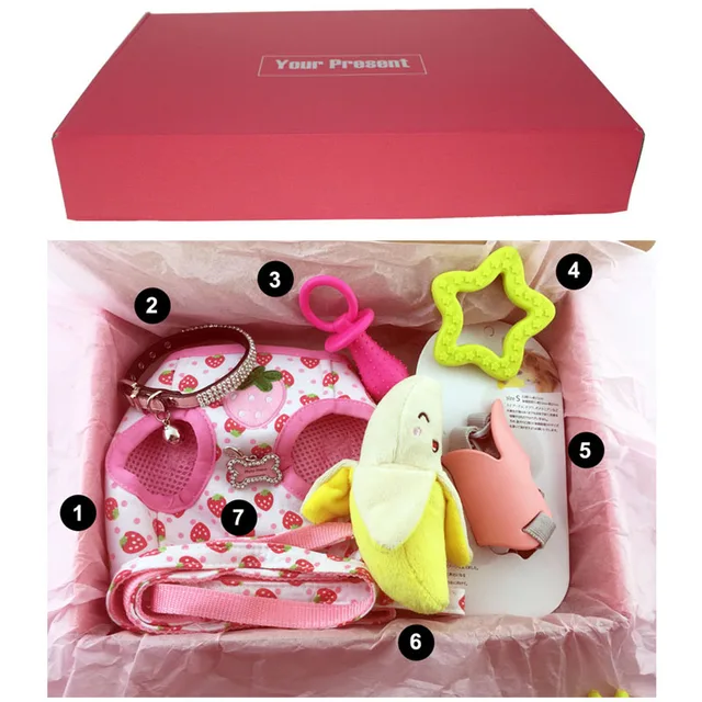 Pet Produkte Weihnachtsgeschenk Box, Mit Hund Weste