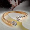 Hot Sale New Fashion Women's Ring Opening Can Be Adjusted Jewelry Gifts  Color Drop Shipping p6K7amY9