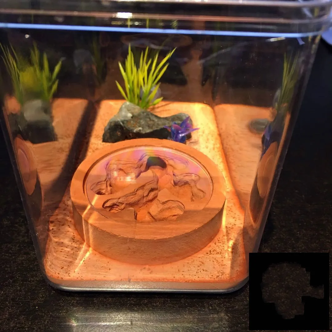 1 шт. простое издание лунное гнездо Муравьиное украшение дома стола|ant nest|decorative