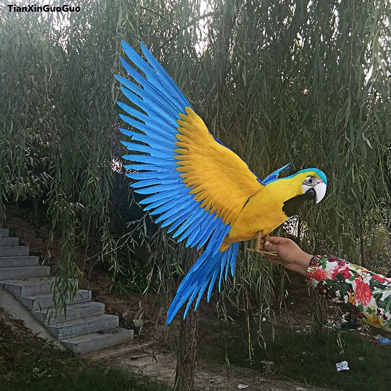 yellow&blue feathers bird large 60x100cm simulation parrot bird spreading wings hard model,home garden decoration gift s1174 garden marquee 3x12 m blue