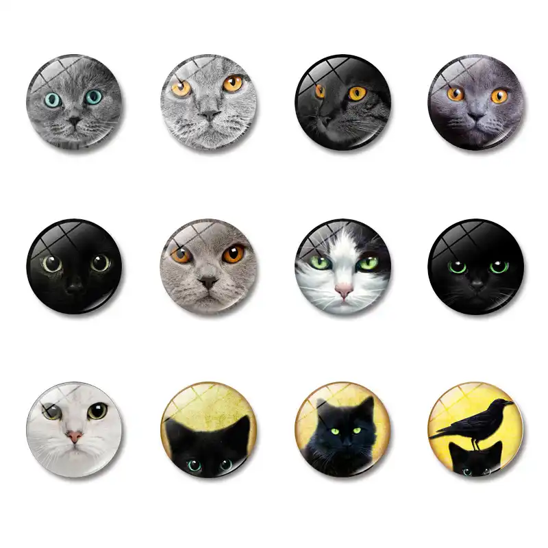 Стимпанк кошка 30 мм магнит на холодильник стимпанк Ретро подарок аниме ПЭТ стеклянный купол Note держатель Магнитные стикеры на холодильник ...