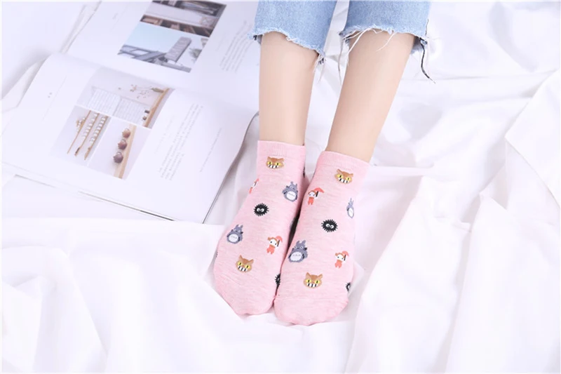 8548552643_236421210