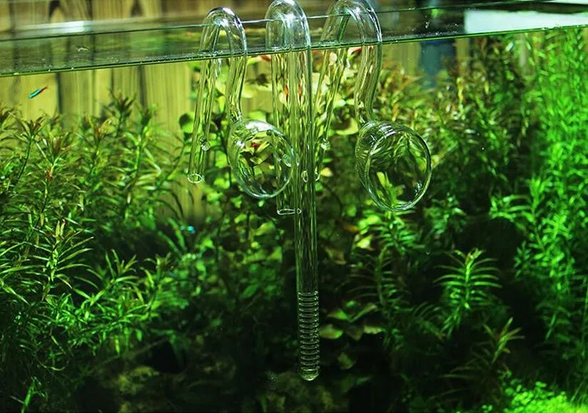 Aquarium ADA style 13/17mm Glass Lily Pipe Inflow Outflow The glass inlet and outlet water pipe in Bell grass cylinder oil film