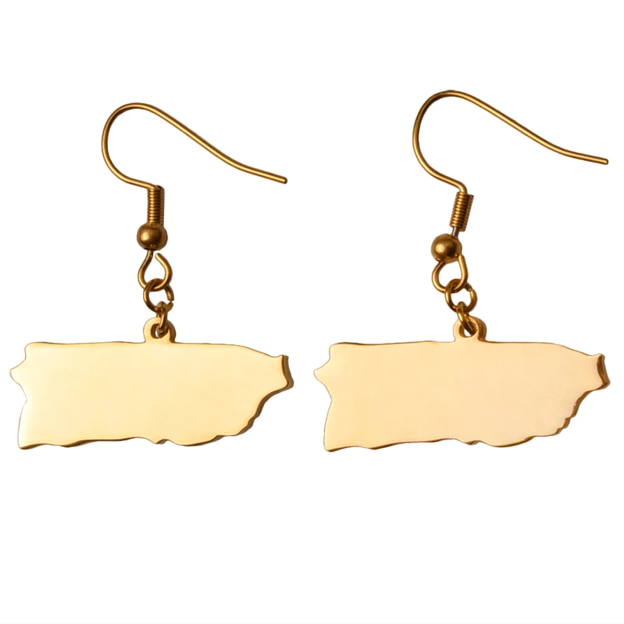 Puerto Rico Map Earrings for Women Girls Gold Color Stainless Steel Jewelry Puerto Ricans Ethnic