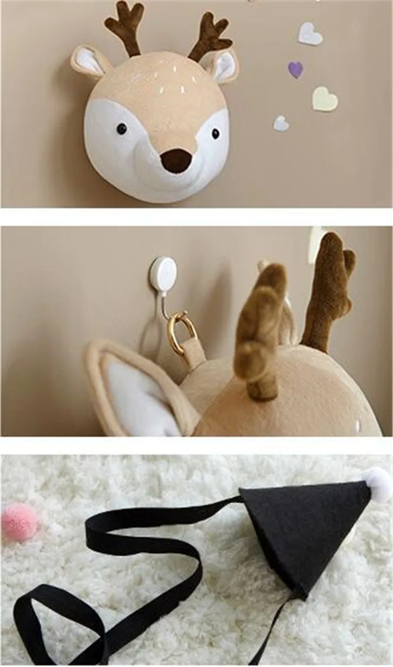 11140793086_1337523896