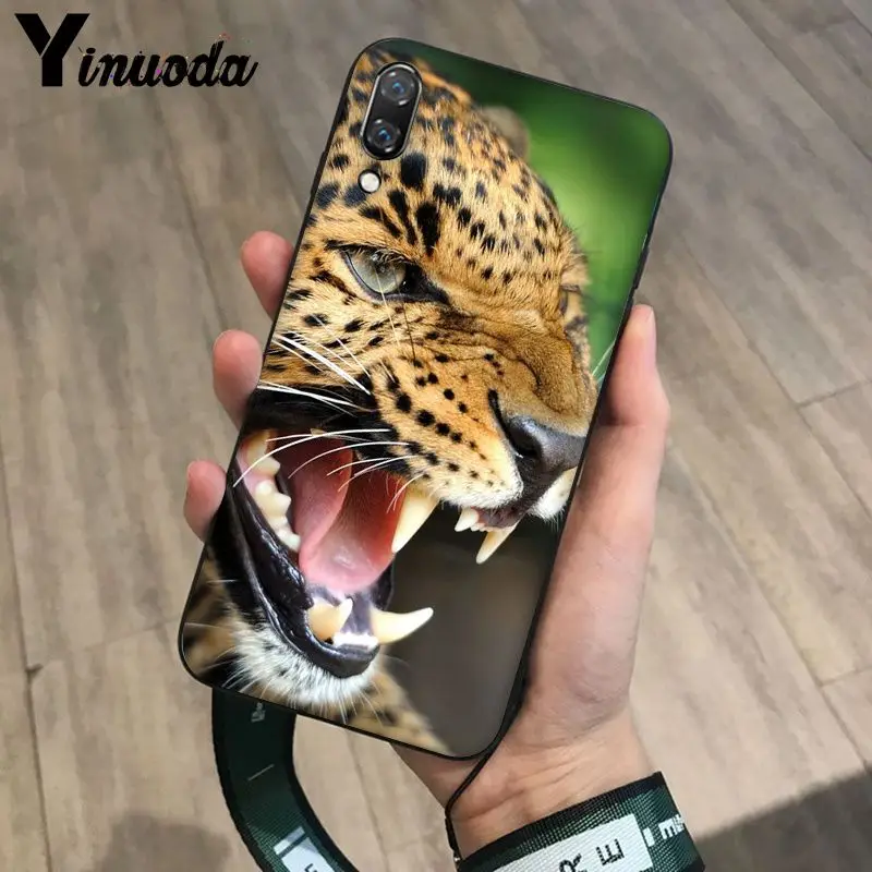 Tiger Leopard Print Panther