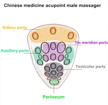 Male Health Physiotherapy Electric Acupressure Strap On Vibrators Adult Sex Machine Men Penis Massager Extender Erection Trainer 6