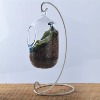 

12pcs/pack Diameter=7cm Glass Bottle Vase Fleshier plant bottle Creative microscape bottle hydroponic plants wedding decoration