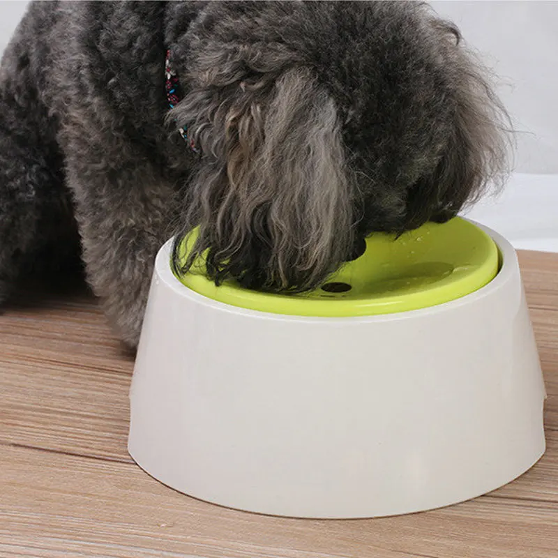 Clearance sale - Pet automatic no spill dog water bowl 1000ml large dog  water dispenser for pet cat dog drinking fountain - AliExpress