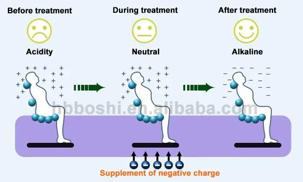supplement