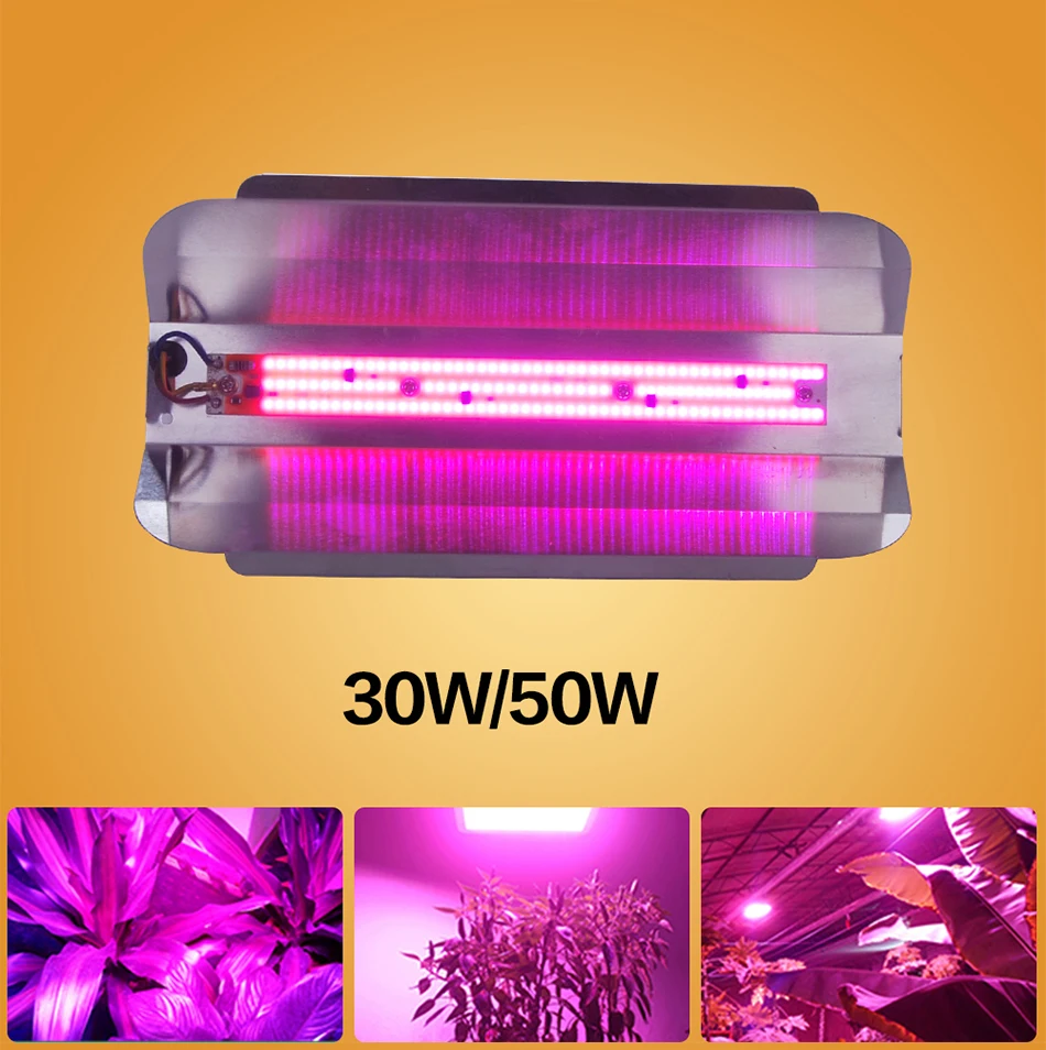 Полная лампа полного спектра Cob Led Grow Light Chip DIY 20 Вт 30 Вт 50 Вт домашняя игровая палатка коробка садовая Гидропоника растение цветок Цветение AC