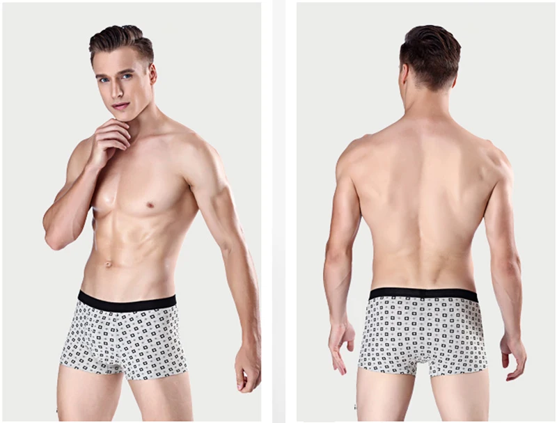 boxer010