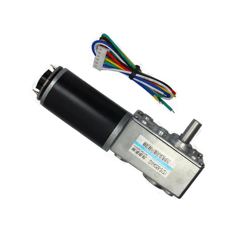 GW4058 31ZY DC Worm Gear Motor with Hall Encoderin DC Motor