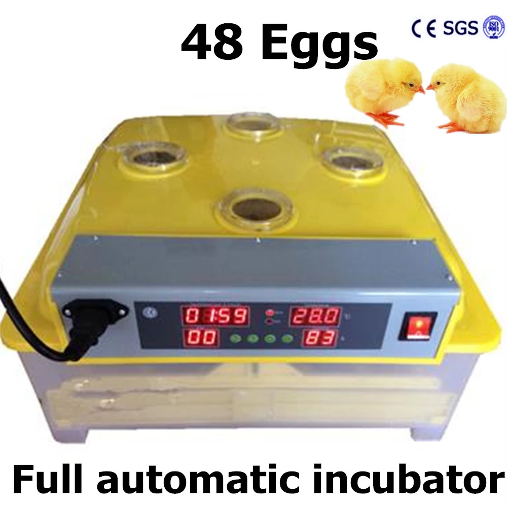 Buy Household chicken eggs incubator small commercial