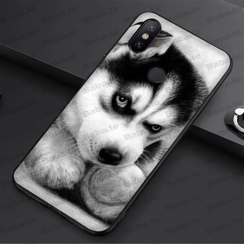 Animal Husky cute Puppy Dog