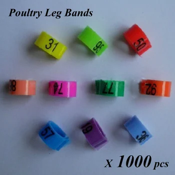 

1000pcs/lot Poultry Leg Bands Bird Pigeon Parrot Chicks Rings In 10 Colors GSF-PPR-O