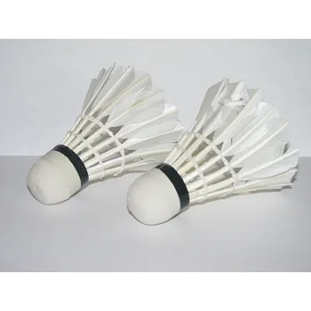 

SEWS New LED Light-Up Badminton Birdies (Set of 2) Shuttlecocks Shuttlecock Feather