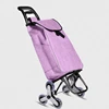 Shopping Cart Climb Stairs To Buy Food /Small Cart Old Man Supermarket Portable Folding Hand Push Luggage Hand Pull Rod Car ► Photo 1/6