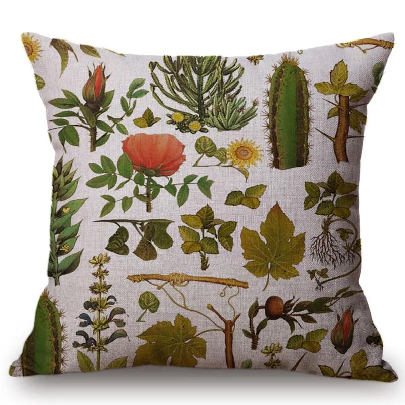 drawing-nature-pattern-canvas 