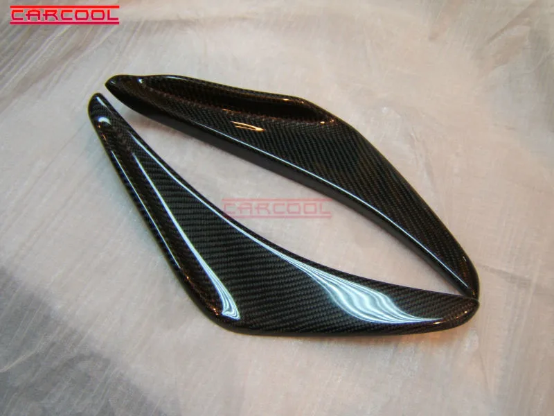 Honda Canard (2)
