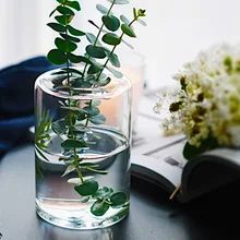 Стеклянная ваза с узором в виде пальмовых листьев в скандинавском стиле, бутылка для ароматерапии, Гидропонные бутылки, домашний Свадебный декор для сухих цветов и растений