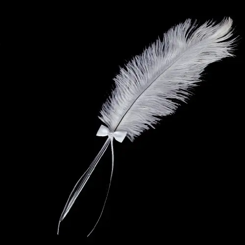 

Bowknot Wedding Signing Pen White Ostrich Feather Pen with Diamante