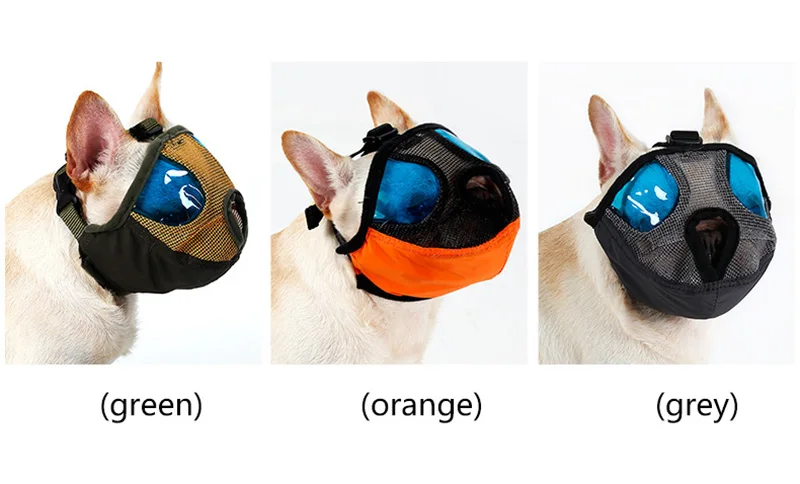 Short Snout dog Muzzle (5)