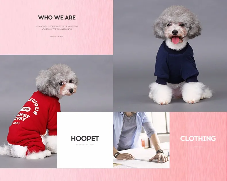 Одежда для собак; сезон зима-осень; свитер с капюшоном; пальто; костюм; одежда; два цвета