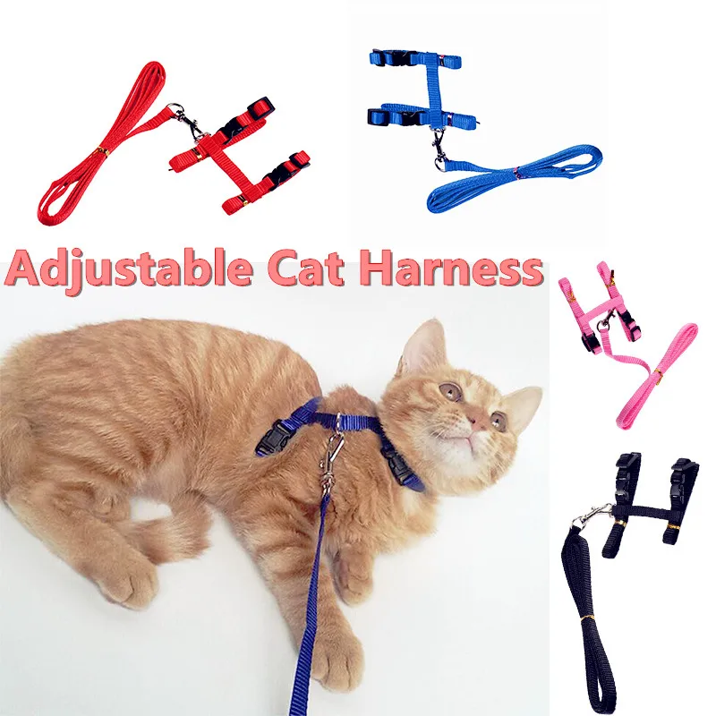 Nylon Cat Harness & Leash Set Pet Kitten Small Dogs Nylon Strap Belt Harnesses Various Colorsin