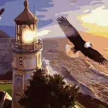 Краска по комплекты номеров для взрослых DIY 40589