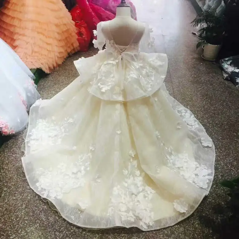 QQ图片20190601081647