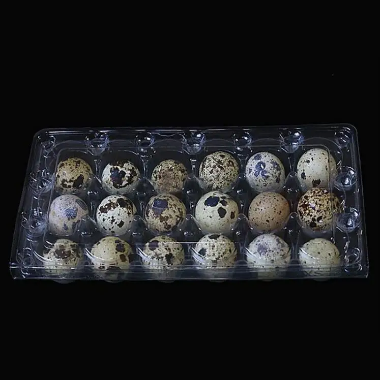 

900 pcs/lot 18 Holes 198*41*133cm Quail Eggs Container Plastic Clear Egg Packing Storage Boxes Wholesale Free Shipping