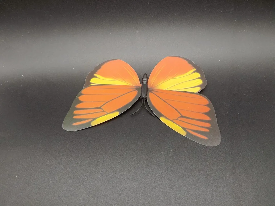 I229-Butterfly (7)