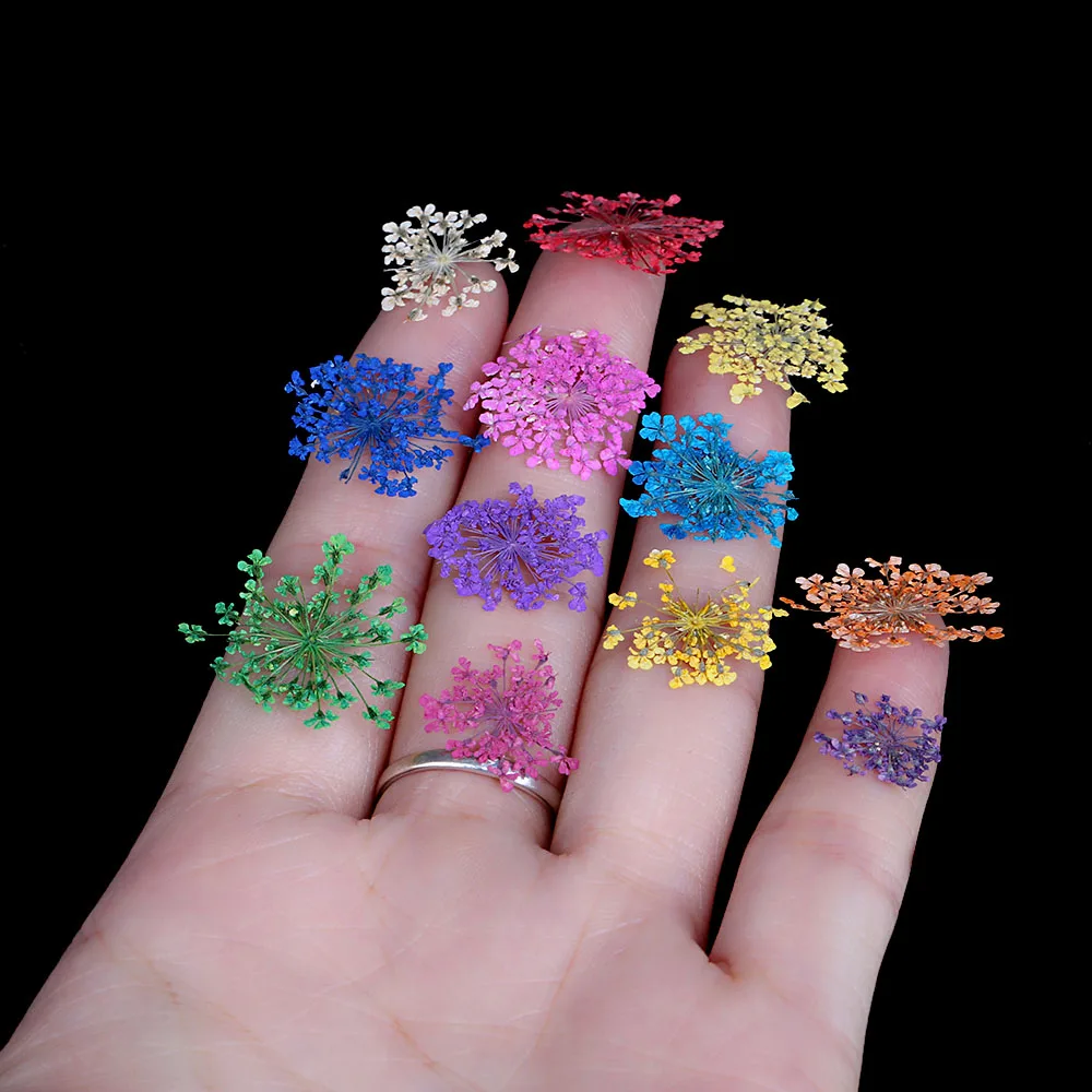 12 Цветов реальных ногтей сухих цветов Nail Art декоративные наклейки с случае маленькие цветы модные ногтей Инструменты для укладки DIY