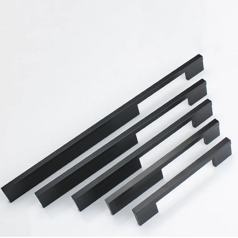 long handle  1
