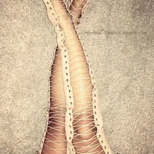 Большие размеры 13 новинка модные соблазнительные сапоги высотой до бедра со шнуровкой открытый нос соблазнительная летняя кожаная обувь на высоком каблуке женские ботинки выше колена